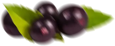 floating açaí left