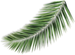 straw 2