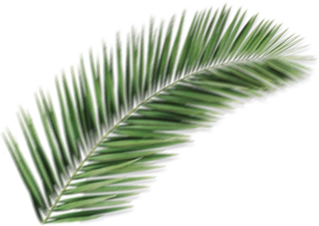 straw 1